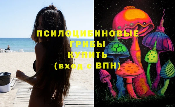 СК Алзамай
