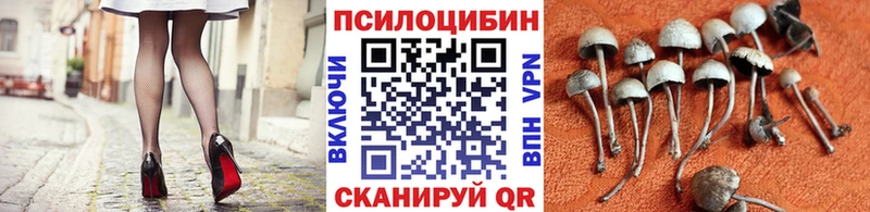 Псилоцибиновые грибы ЛСД  наркота  Кедровый 
