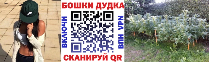 Конопля марихуана  Кедровый 